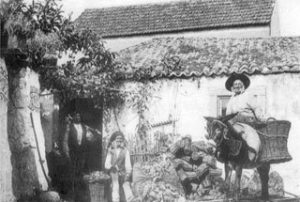 historia3-300x202-1